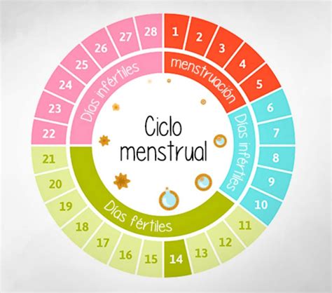 cikli menstrual zgjat mesatarisht 21-36 dit kemi t bjm me menstruacione t rregullta. . Cikli menstrual sa zgjat